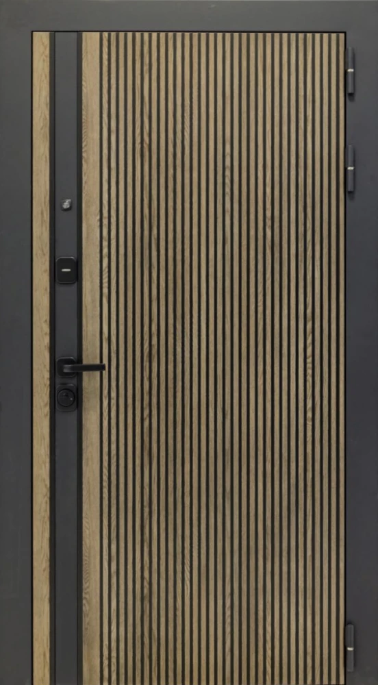 Входная дверь ДвериПРО Rosna Без фрезеровки Дуб пацифик горизонт DPRO204721 внешняя сторона